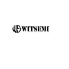 WITSEMI Technologies Private Limited