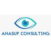 AnaSup Consulting