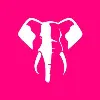 Elephant Bet Elephant Bet