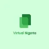 Virtual Nigeria (GVN)