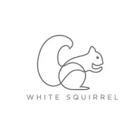 White Squirrel