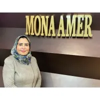 Mona Amer Law Firm