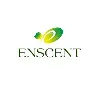 Enscent Enscent