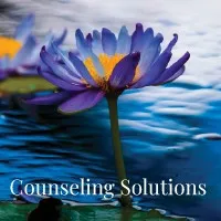 Counseling Solutions Chicago Counseling Solutions Chicago