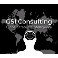 GSI Consulting GSI Consulting