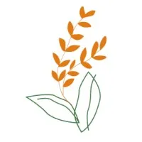 Chicago Frontlines Fund