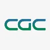 Constellation Global Consulting Constellation Global Consulting