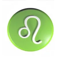 LEOMECH SYSTEMS