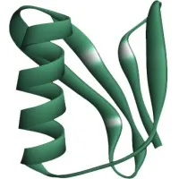 Design-Zyme LLC