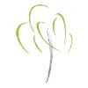 WILLOW DENTAL GROUP WILLOW DENTAL GROUP