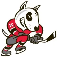 Niagara IceDogs Hockey Club