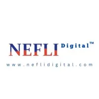 NEFLI DIGITAL LLC