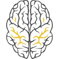 Neuropedia email format
