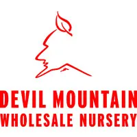 Devil Mountain Wholesale Nursery