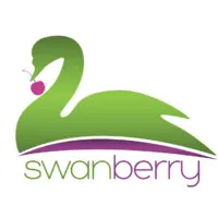 Swanberry Educational Services