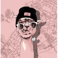 The Mouthy Llama Marketing Agency