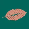 Alder Packaging Alder Packaging