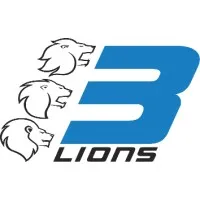 Three Lions Group Three Lions Group