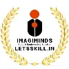 Imagiminds Letsskill Imagiminds Letsskill