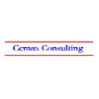Cemax Consulting