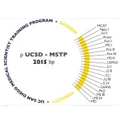 UCSD Medical Scientist Training Program