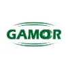 GAMOR