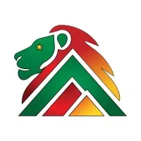 Lion Rock Minerals Lion Rock Minerals