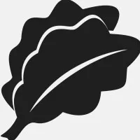 Lifestyle Foods Lifestyle Foods