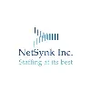 Netsynk Inc Netsynk Inc
