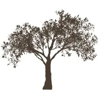 Rosenberg Advertising