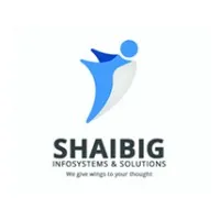 Shaibig Infosystems & Solutions Pvt Ltd