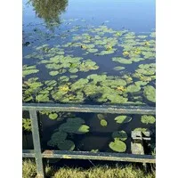 Gordon Psychological Evaluations