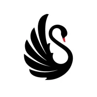Black Swan Business Setup Services Black Swan Business Setup Services