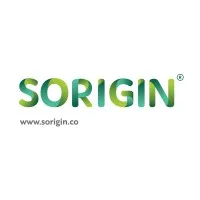 Sorigin Group Sorigin Group