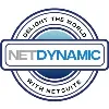 NetDynamic Consulting Inc.