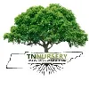 TN Nursery TN Nursery