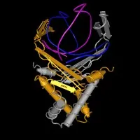 Innovative Discovery Partners