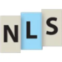 Next Level Strategies Next Level Strategies