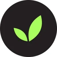 Developios - Web Design & Development Agency