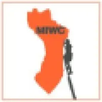 The Window Cleaners LLC The Window Cleaners LLC