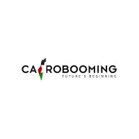 Cairobooming