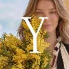 YARGICI YARGICI