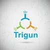Trigun Technology Pvt. Ltd. Trigun Technology Pvt. Ltd.