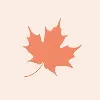 Red Maple Montessori Islamabad Red Maple Montessori Islamabad