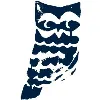 Little Owl Little Owl