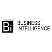 Business Intelligence (Bi) Business Intelligence (Bi)