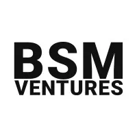 BSM Ventures