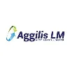Aggilis LM West Africa Limited Aggilis LM West Africa Limited
