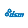 DSM Consulting Engineers DSM Consulting Engineers
