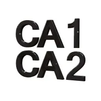 CA1 CA2